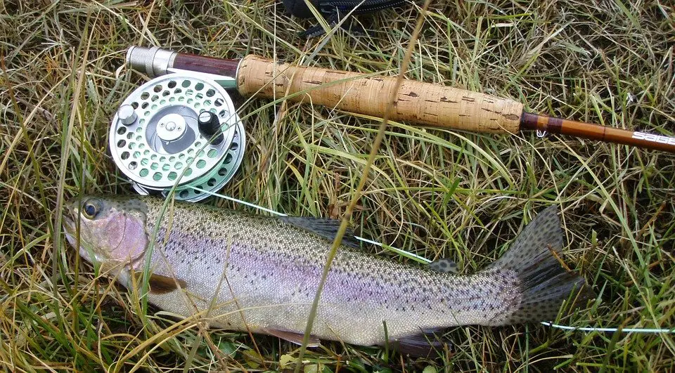 How to Catch Trout in a Lake - Top Fishing Methods and Tips