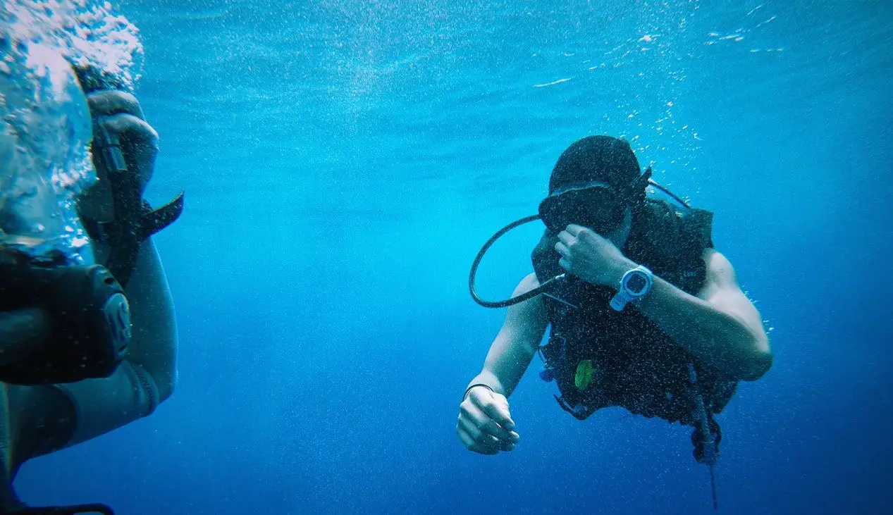 Best Dive Computer [Beginners & Advanced] 2022