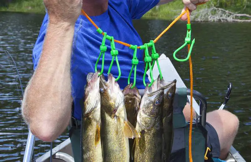How to Use a Fish Stringer to Keep Your Catch Fresh While