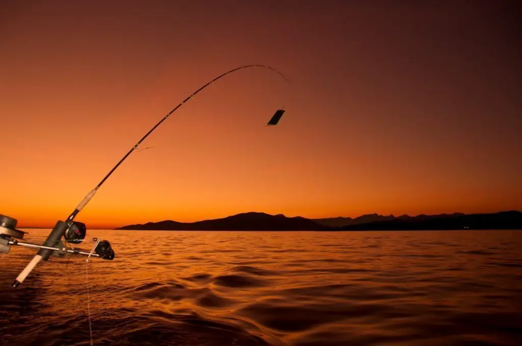 Baitcasting reels that are for advanced anglers.