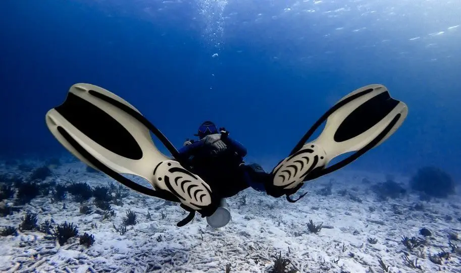 Best Scuba Fins 2022 [Extra Thrust & Comfortable Fit]