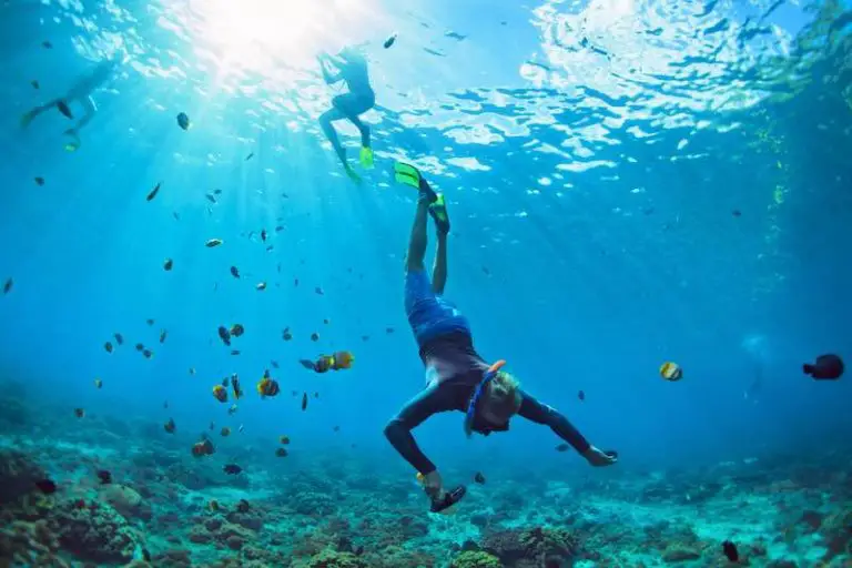 What are the Health Benefits of Snorkeling? The Marine Lab