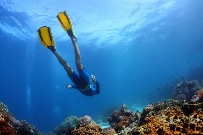 What are the Health Benefits of Snorkeling? The Marine Lab