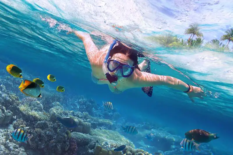 What are the Health Benefits of Snorkeling? The Marine Lab
