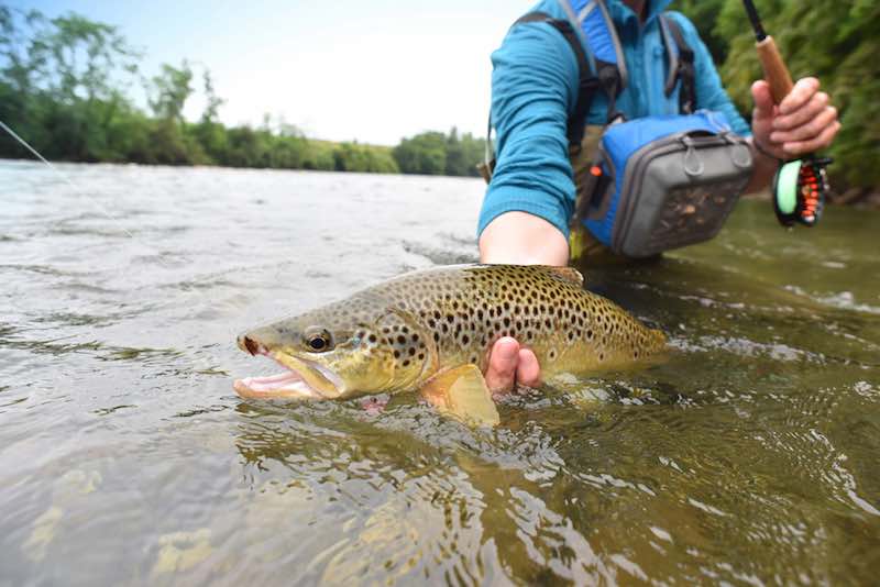 Man holding a trout after fishing it in a river