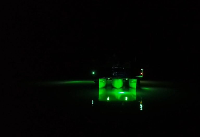 Best Underwater Dock Lights for Fishing [Updated]