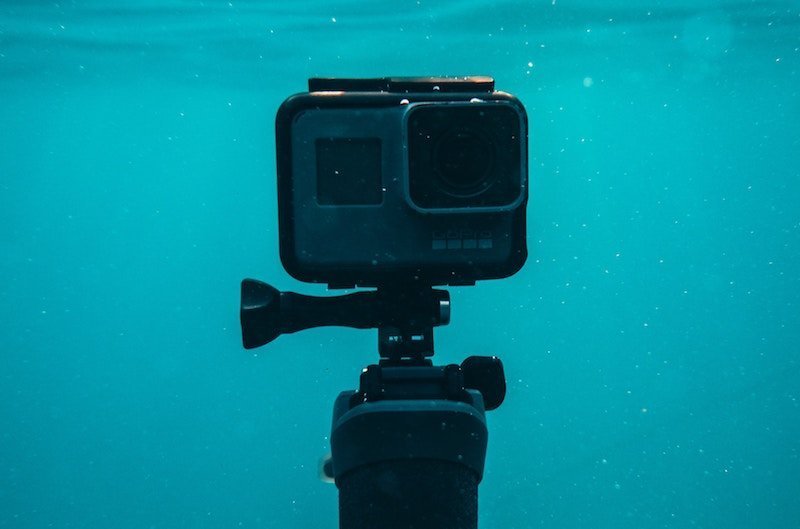 Top 5 Budget Price Underwater Cameras For Snorkeling The Marine Lab