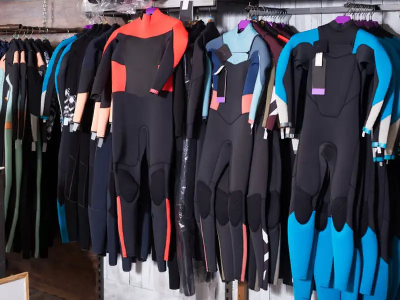 Wetsuit vs. Drysuit. Which One to Choose and Why The Marine Lab