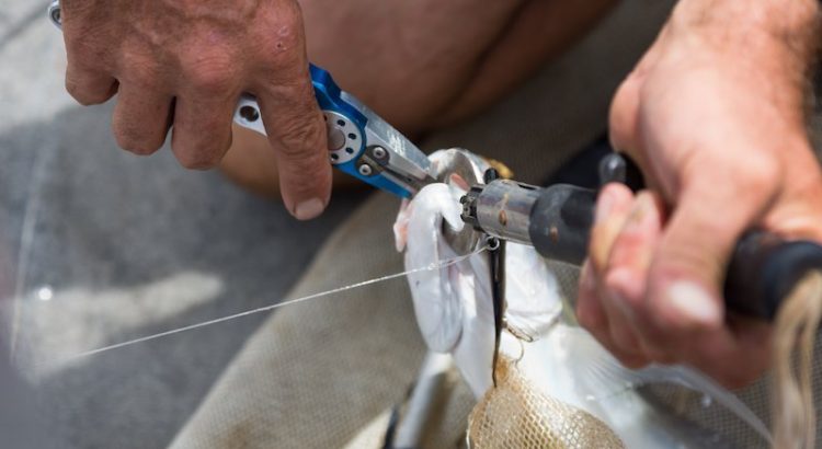 10 Best Fishin Pliers Under $25