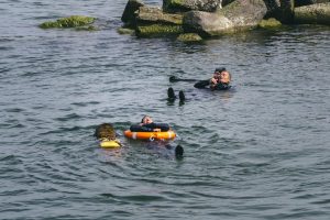 Dog water rescue in open water